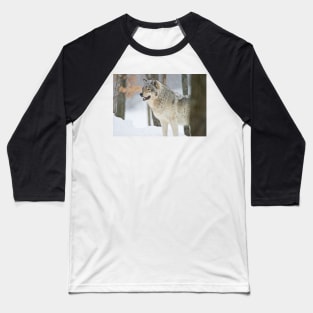 Gray Wolf Baseball T-Shirt